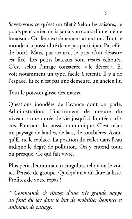 Bruno Pellier - Gris, Dictionnaire des longues distances III